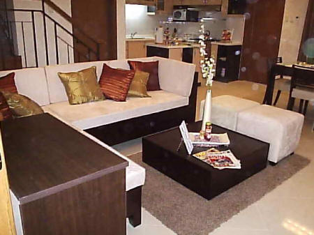 Interior Design Ideas Living Room on Modern Living Room In Earth Colors  Living Room 7