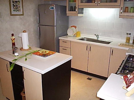 Streamlined Kitchen Interior Design